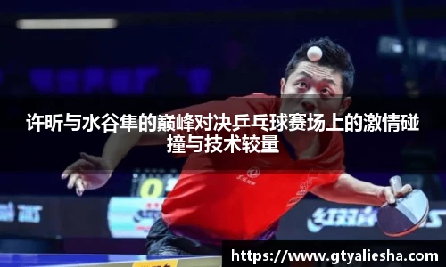 许昕与水谷隼的巅峰对决乒乓球赛场上的激情碰撞与技术较量